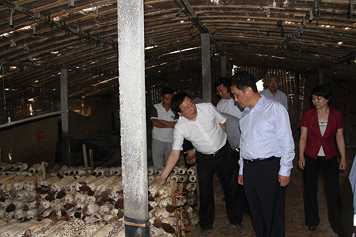 ag亚娱集团·(中国游)官方网站